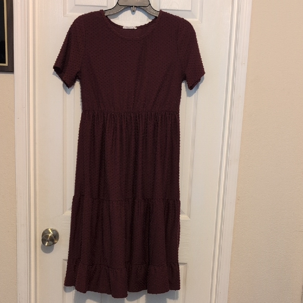 Elegant Burgundy Dress